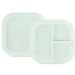 miniland Tellerset mit Unterteilungen, mint