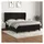 vidaXL Boxspringbett mit Matratze Schwarz 180x200 cm Samt
