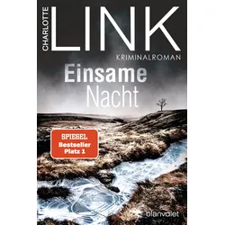 Einsame Nacht