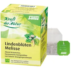 Salus Lindenblüten Melisse Tee 15 St Filterbeutel
