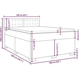vidaXL Boxspringbett 160 x 200 cm Schwarz
