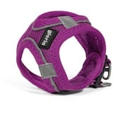 Gloria Trek Star Hundegeschirr 24-26 cm 28-28,6 cm Violett XXS