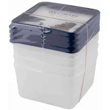 Westmark Trio Gefrierdose mehrfarbig 0,5 l 4-teiliges Set