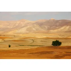 Fototapete PAPERMOON "Landschaft", bunt, B:5,00m L:2,80m, Vlies, Tapeten