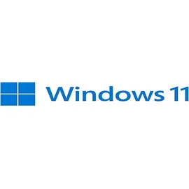 Microsoft Windows 11 Pro DVD DSP/SB EN
