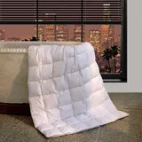 BettwarenShop Daunen Sommerdecke Canada leicht, Füllung: 100% Daunen 200x220 cm