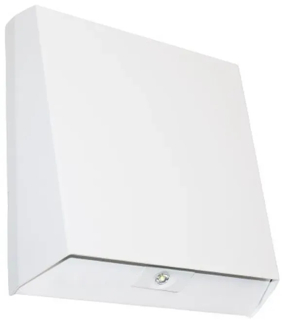 H1 Solutions Sicherheitsleuchte Postman DLI 3H-A-BOX
