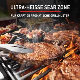 Weber Spirit E-325 GBS schwarz 1500895