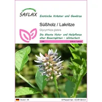 SAFLAX - Kräuter - Süßholz/Lakritze - 30 Samen -