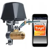 OEM Wifi Tuya Smart Wasser- Und Gasventilsteuerung