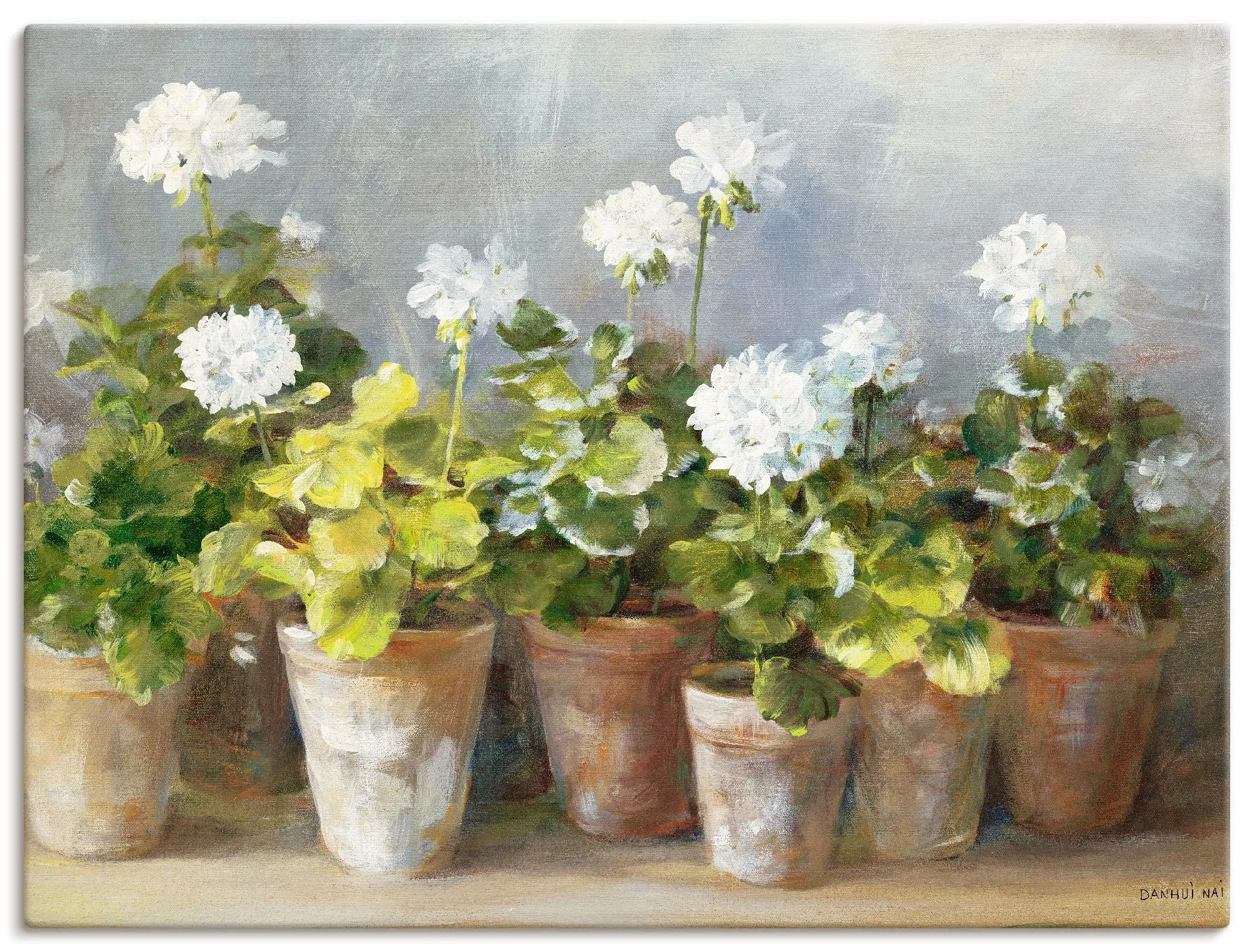Artland Wandbild »Weiße Geranien«, Blumen, (1 St.), als Leinwandbild, Poster in verschied. Größen Artland Farbe Bild(er): weiß