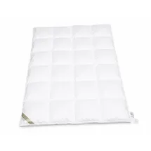 Betten Hofmann Hofmann Franken Daunenbett Daunendecke 4x6, 155x220 5 cm Außensteg 100% Daunen - Schwarz