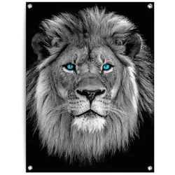 Poster REINDERS "Löwe mit blaue Augen", schwarz (farbe bild(er): schwarz), B:60cm H:80cm T:0,1cm, Leinwand, Bilder, Outdoor für Garten oder Balkon