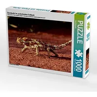 Calvendo Dornteufel im australischen Outback 1000 Teile