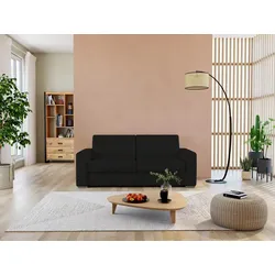 Schlafsofa mit Matratze 3-Sitzer - 100% Büffelleder - schwarz - Matratze 16 cm - DELECTEA II