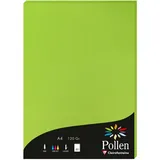 Pollen 10x Papier A4 Pollen 120g 50 Blatt - Minze 4215C