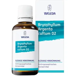 Bryophyllum Arg Cul Rh D 3