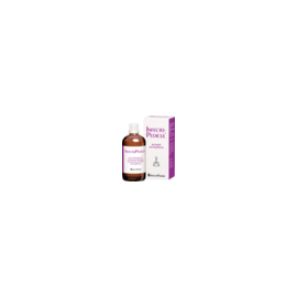 InfectoPharm Arzneimittel und Consilium INFECTOPEDICUL