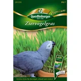 Quedlinburger Ziervogelgras Grün Loses Saatgut