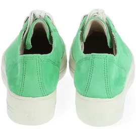 Paul Green Sneaker Damen Weite E Hellgrün 40,5