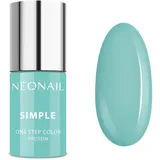 Professional Simple Xpress One Step Color UV Nagellack harmony 7,2 ml