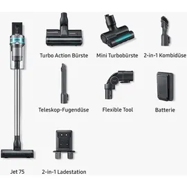 Samsung Jet 75 elite VS20T75D6R5 silber