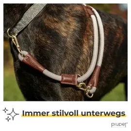 PiuPet PiuPet® Hundeleine beige