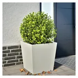 vidaXL Pflanzkübel 50 x 50 x 50 cm Weiß