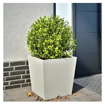 vidaXL Pflanzkübel 50 x 50 x 50 cm Weiß