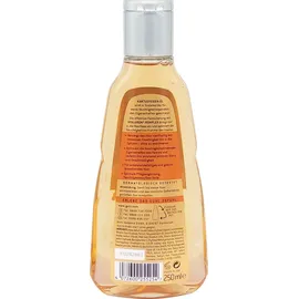 GUHL IKEBANA Feuchtigkeits-Aufbau 250 ml