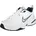 White/Metallic Silver