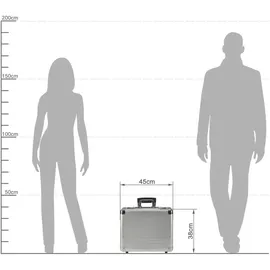 ALUMAXX Challenger 2-Rollen Cabin 45 cm / 21 l silber