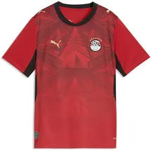Puma Ägypten Trainingsshirt 2024 rot Unisex Gr. 164