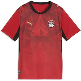 Puma Ägypten Trainingsshirt 2024 rot Unisex Gr. 164