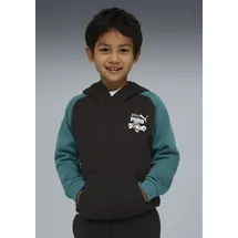 Puma Hoodie Black 116