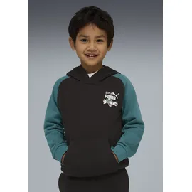 Puma Hoodie Black 116