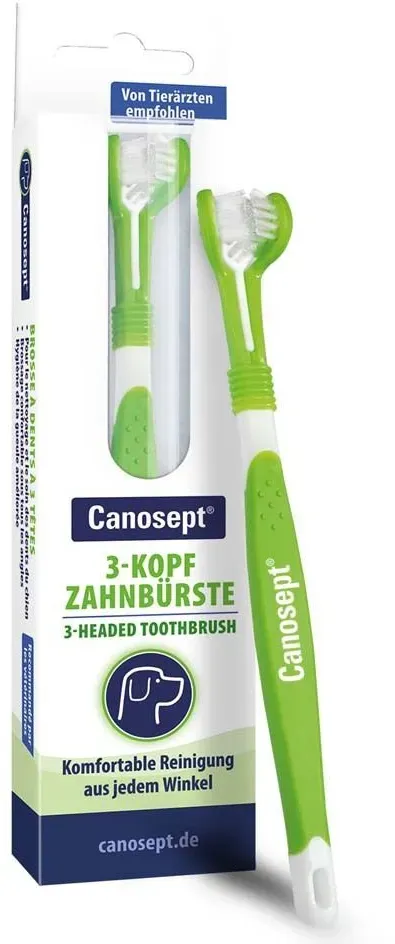 Canosept® 3-Kopf Zahnbürste für Hunde