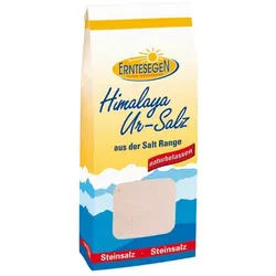 Erntesegen Himalaya Ur-Salz feinkörnig Beutel 1kg