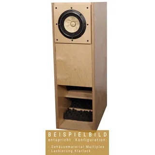 AOS BK 166  Lautsprecherbausatz ohne Gehäuse inkl. Korrekturweiche  -  1 STÜCK