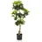 HJH Office Kunstpflanze SCHEFFLERA / Kunstbaum im Topf, mit Echtholzstamm, Höhe 100 cm