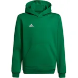 Adidas Unisex Kinder Entrada 22 Sweat Hoodie, Team Green/White, 176