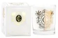 Cape Island Duftkerze SUMMER VINEYARS 100ml
