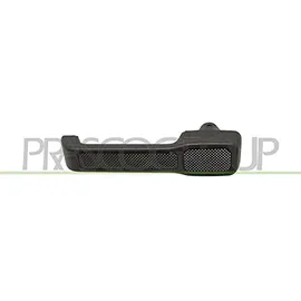 PRASCO Türgriff FT1298111 hinten rechts, schwarz