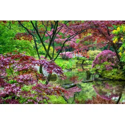 Fototapete PAPERMOON "GARTEN-BLUMEN BÄUME PFLANZEN PARK STEINE BLÜTEN WALD", bunt, B:4,00m L:2,60m, Vlies, Tapeten