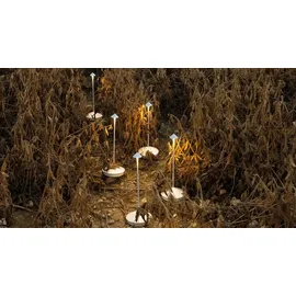 Zafferano Pina Pro sand