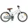 vidaXL Kinderfahrrad 18 Zoll weiß