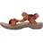 languostino 36