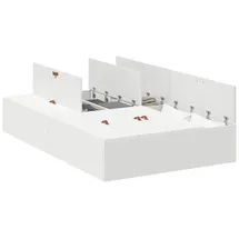 vidaXL Aufbewahrungsbettgestell 120 x 200 cm Weiß