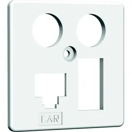 Homeway HW-ZP EK4 LAN/TAE Zentral. 50mm rws HAXHSE-G0401-C024