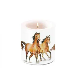 Ambiente Stumpenkerze Paraffin 7,5x9cm mit Pferde Motiv - Tischkerze Blockkerze Zylinderkerze Kerzendeko Landhaus Sommer Party Dekokerze Tiere Weiß Braun